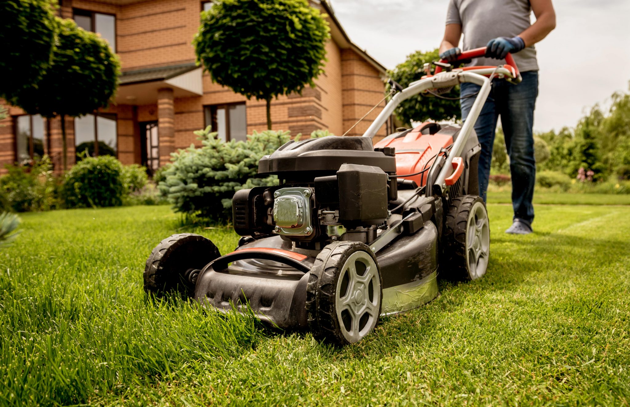 Garden Maintenance Services in Melbourne Australia