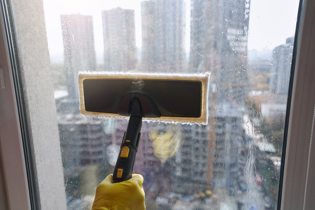 Window Cleaning Service Intro