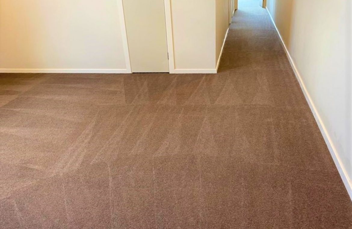 Carpet Cleaning