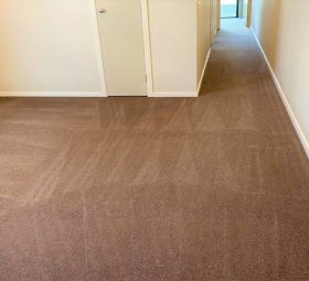 Carpet Cleaning