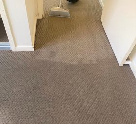 Carpet Steam Cleaning